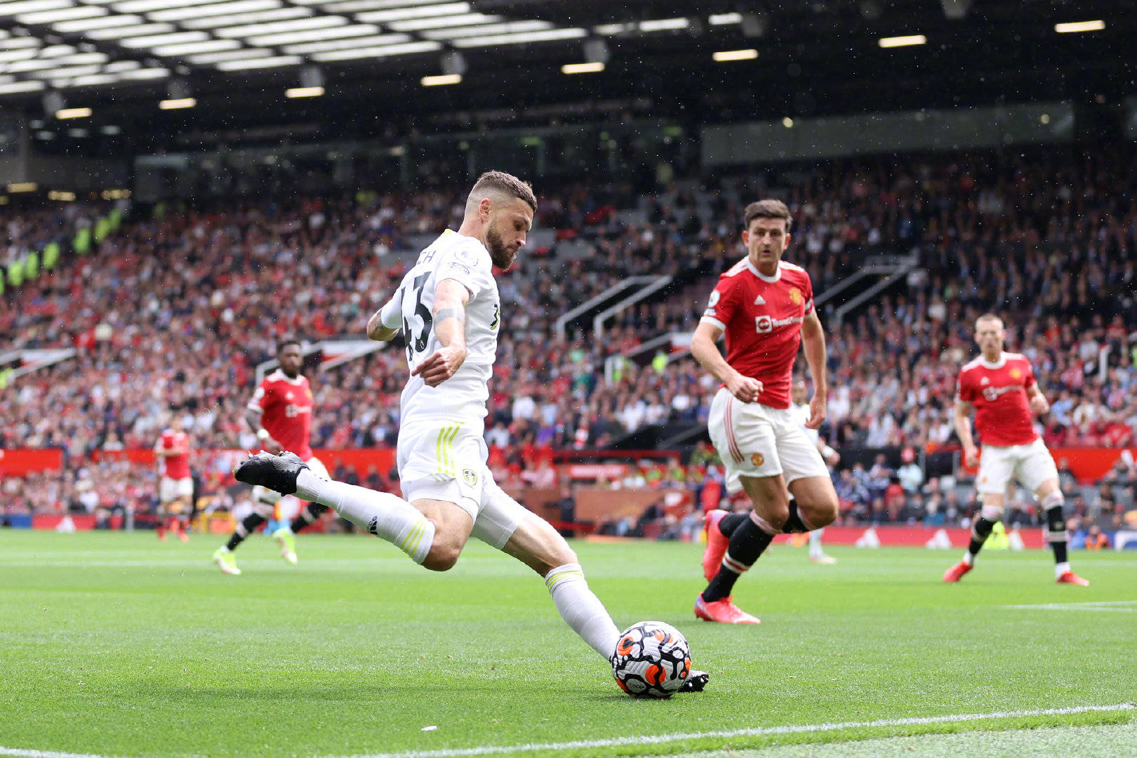 进攻性与团 进攻性与团